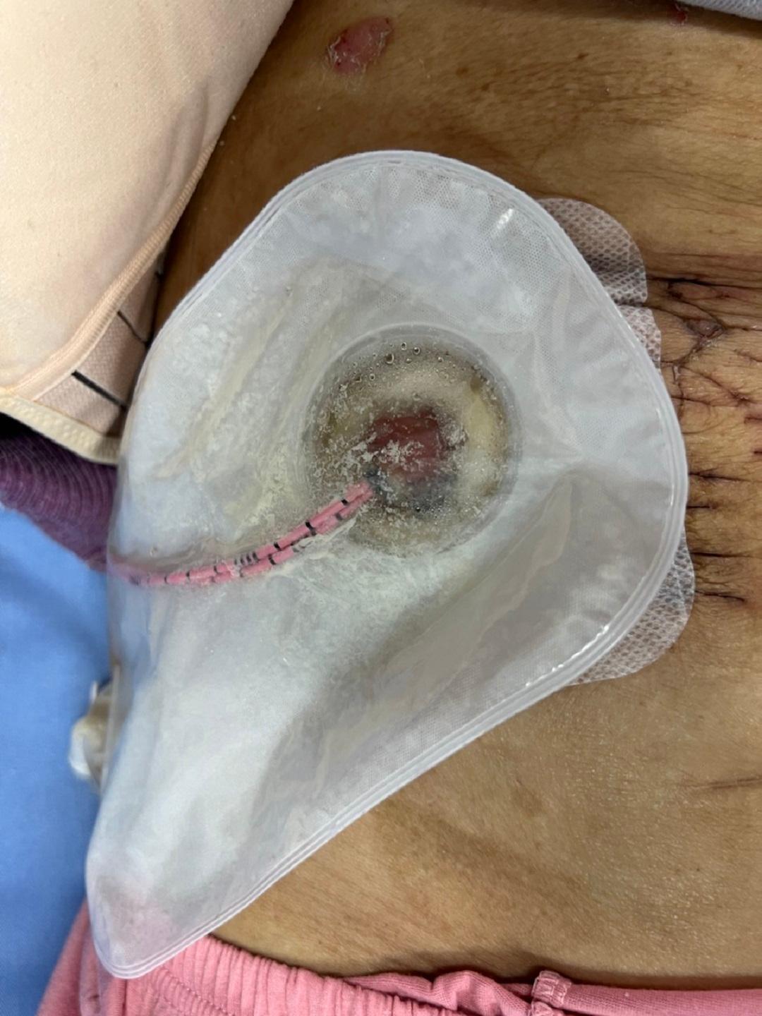 3ce6619a-1076-4fd8-ac2e-ab7e0537ca04.jpg 3ce6619a-1076-4fd8-ac2e-ab7e0537ca04.jpg